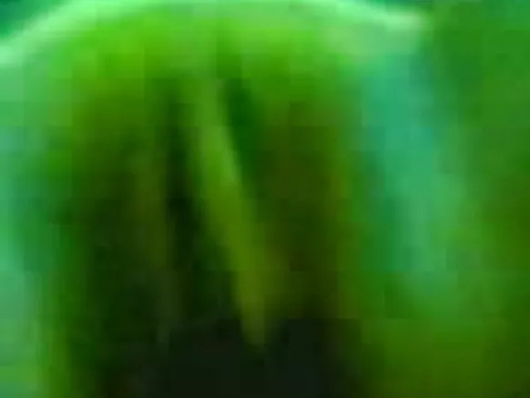 India Hollywood ni gbese movie HD webcam tọkọtaya fun tọkọtaya kan