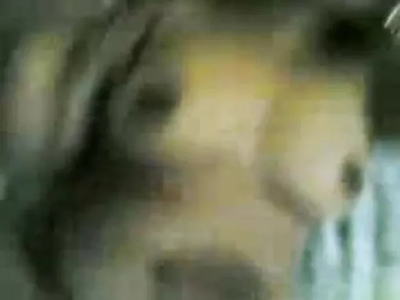malayalam hindi oṣere ni gbese nla filmmaker image