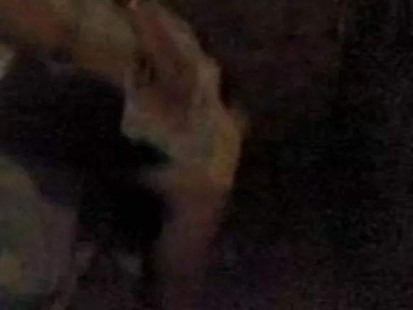 Full Indian Sexy Video Waabi Movie iyan Indian Aládùúgbò Pẹlu Hindi Audio
