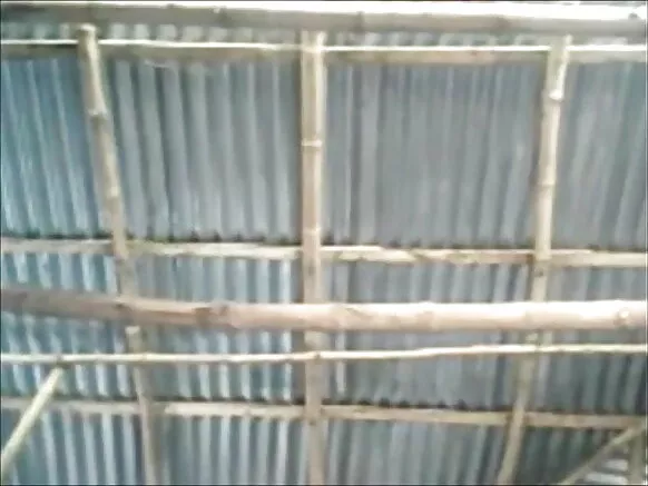 fihan diẹ ninu awọn melons lati mu