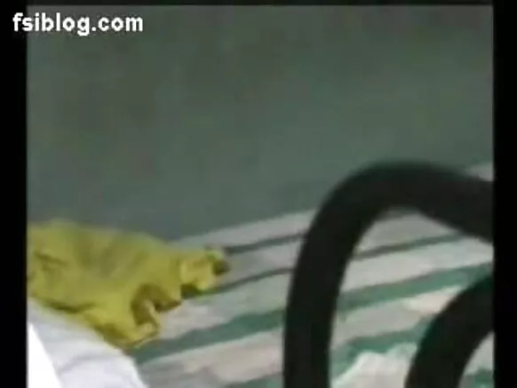 Indian Indian India ni gbese Durious Novio Movie