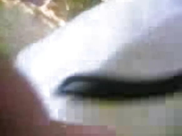 ita gbangba ibalopo ibalopo ni gbese movie hindi image blue