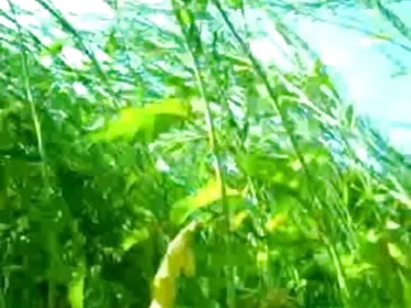 tọkọtaya ni gbese fiimu hindi