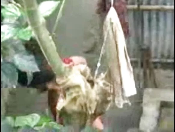 Desi girl wíwẹtàbí Desi ita ibalopo movie fidio ita gbangba