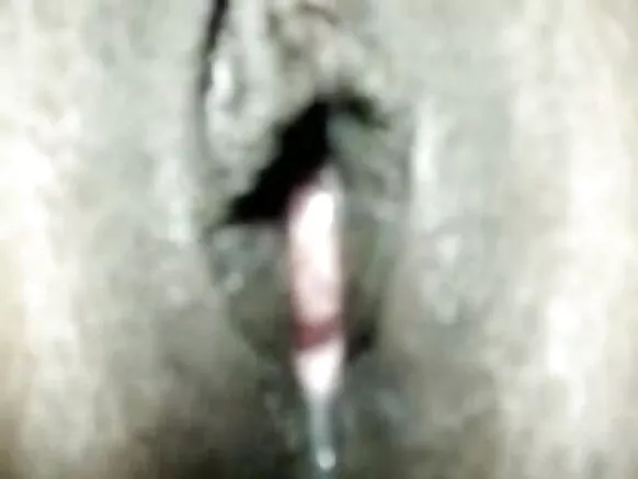 desi bhabhi desi x x x hindi foto bhabhi creampie